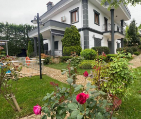 Village OTANTİK PARK vip